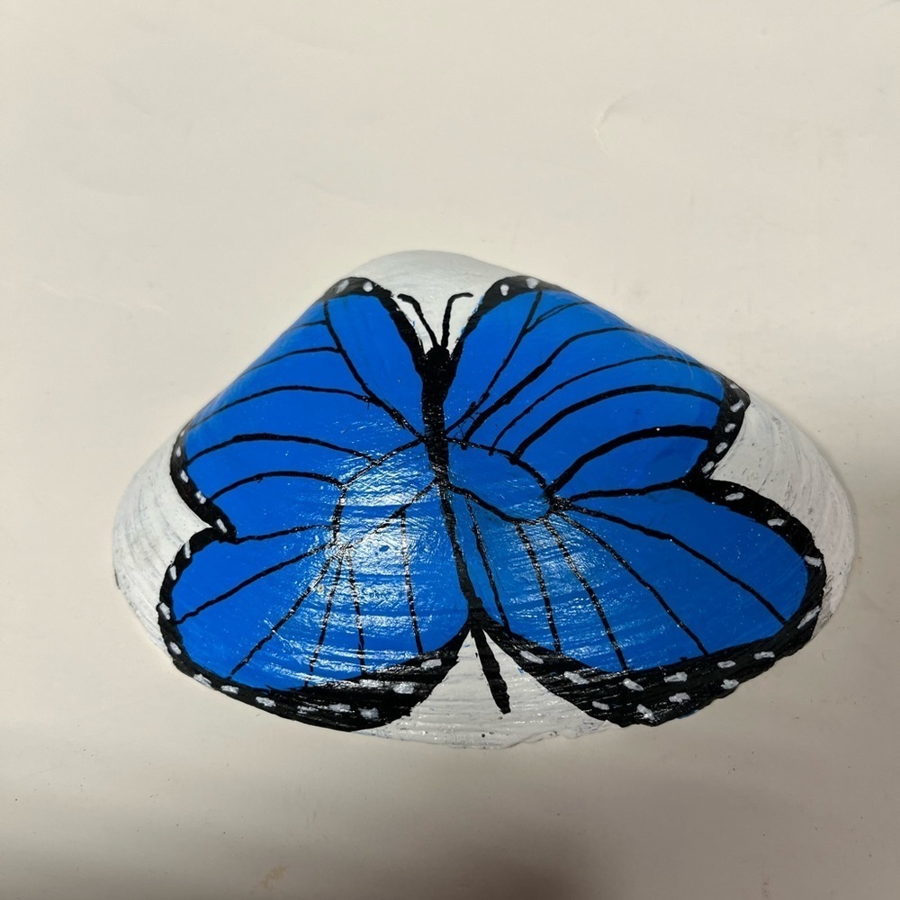 Hand Painted Butterfly Shell - Picture 3 of 10